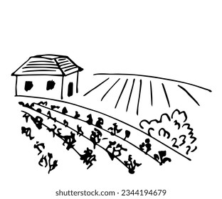 Dibujo simple del vector de contorno negro. Viñedo, campos de cultivo, casa rural. Cultivando productos orgánicos, arbustos de uva. Esbozar con tinta.