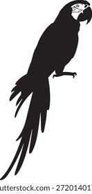 Silhueta de papagaio preto simples uma ilustração vetorial contra um fundo em branco.