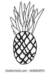Simple black pineapple outline on white background. Minimalism element of fresh tropical tasty and vitamin fruit pineapple. Hand drawn vegan and healthy fresh vitamin food stock vector illustration. 