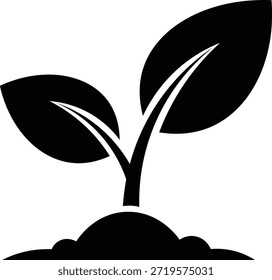 Preto simples de uma plântula que cresce da planta do broto do solo