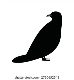 Simple black silhouette of a cuckoo bird sitting in profile, a minimalist graphic icon for wildlife and nature concepts isolated on a white background
