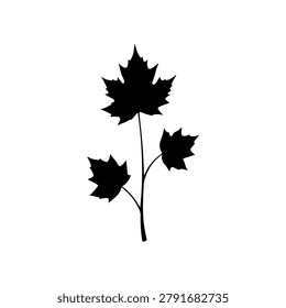 A simple black silhouette of a maple branch featuring three distinct leaves against a white background.