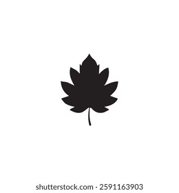 Simple Black Silhouette of a Maple Leaf.A clean, solid black silhouette of a maple leaf against a pure white background.
