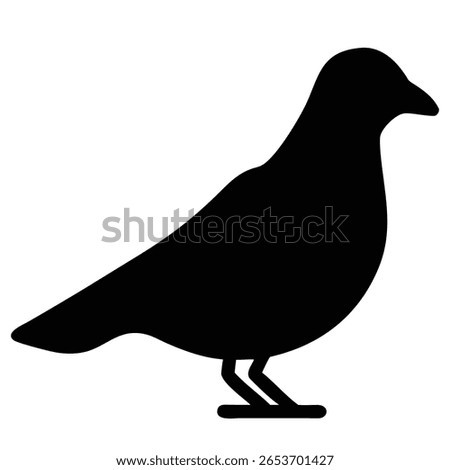 A simple black silhouette of a pigeon is depicted standing on its legs. The bird faces to the right with its head slightly turned, showcasing its profile.