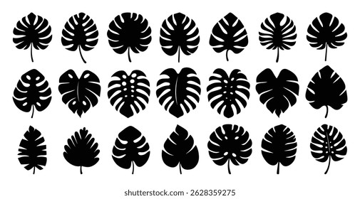 Simples preto silhueta vetor ilustração monstera folha. Conjunto de folhas exóticas. Silhuetas vetoriais de folhas tropicais de Monstera. Estilo simples e minimalista. Conjunto para design de verão, marca ecológica