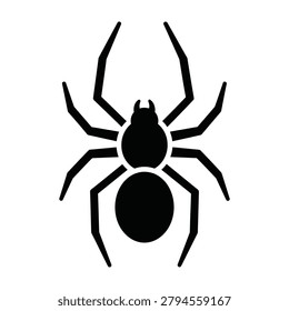Simple black spider silhouette on white background, creepy crawly insect