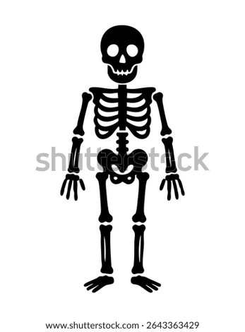 Simple black vector silhouette of a human skeleton. Ideal for Halloween, educational materials, medical designs, or a minimalist, spooky graphic element.