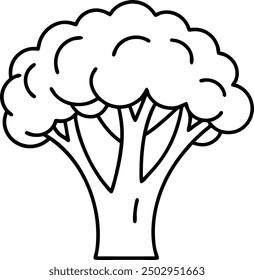 Simple Black and White Broccoli Outline Drawing Illustration