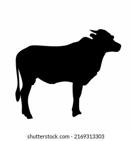 simple black white cow vector