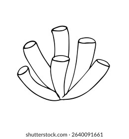 Simple black and white drawing of a tube coral, perfect for children's coloring books, marine-themed educational materials, and ocean worksheets.
Keywords (до 50):
