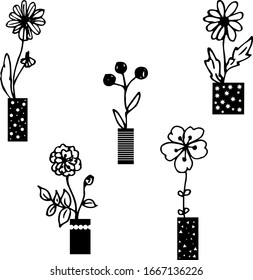 Simple Black and White Flowers in vases 