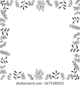 Marco blanco y negro simple, monocromo, marco decorativo de plantas y flores dibujadas a mano