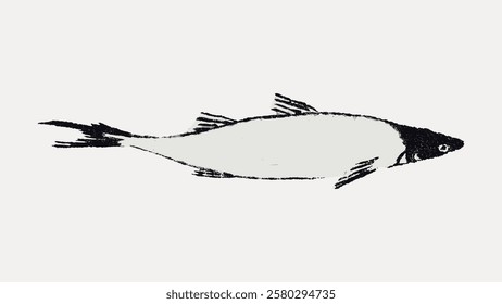 Simple black and white illustration of a fish. The fish is drawn in a minimalist style, showcasing its streamlined body and fins. Fish illustration in monochrome. Vintage fish illustration vector.