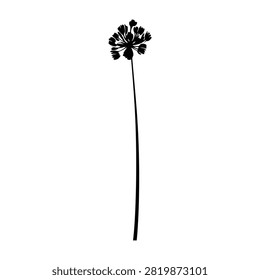 Simple black and white illustration of a flower with detailed petals and stem, suitable for artistic and botanical design projects.