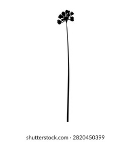 A simple black and white illustration of a flower with a long, slender stem and a cluster of small blossoms at the top.