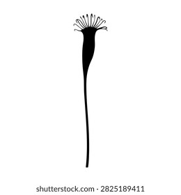 Simple black and white illustration of a flower with a long stem and detailed petals, suitable for artistic and botanical projects.