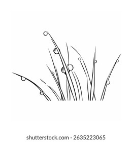 Simple black and white illustration of grass blades with water droplets minimal art