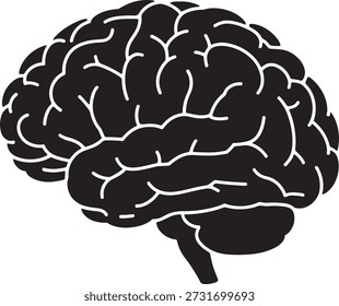 Simple black and white illustration of a human brain highlighting its anatomy and structure, often used in medical and educational contexts to represent intelligence and cognitive function.