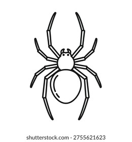A simple black and white illustration of a spider with eight long legs