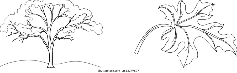 Simple black and white illustration of tree and leaf nature outline elements for design