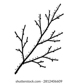 Simple black and white illustration of a tree branch with twigs, emphasizing minimalism and natural design elements.