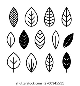 Simple Black and White Leaf Icons Collection leaves