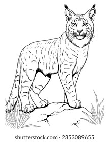 arte de línea simple en blanco y negro de páginas de color linx