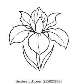 Simple black and white line art of an iris flower with detailed petals, leaves, and a central bud