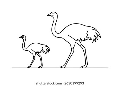 Simple black and white line art illustration depicting an adult ostrich and a chick