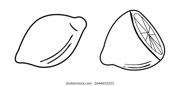 Uma simples ilustração em preto e branco mostrando um limão inteiro e uma metade de limão com fatias visíveis. O desenho enfatiza a forma básica e os detalhes do limão, projetos temáticos botânicos
