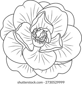 A simple black and white line art illustration of a camellia flower showing its layered petals and center.
