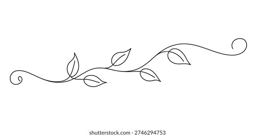 Simple black and white line art illustration of a decorative vine with leaves and scrolls Vector, illustration