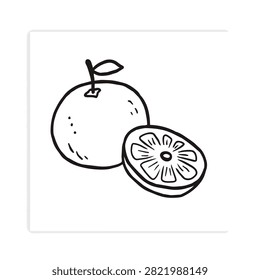 Simple black and white line art illustration featuring a whole orange and a halved orange slice in a doodle style.