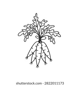 Simple black and white line art drawing of a bundle of three carrots featuring detailed foliage and organic shapes in a minimalist doodle style.