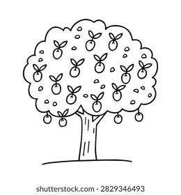 A simple black and white line art drawing of a fruit tree laden with round fruits and leaves isolated on a white background