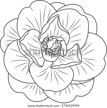 A simple black and white line art illustration of a camellia flower showing its layered petals and center.