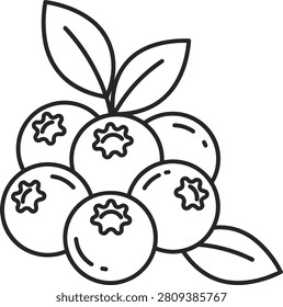Simple black and white line of a cluster of fresh blueberries with two green leaves on a white background, for coloring pages