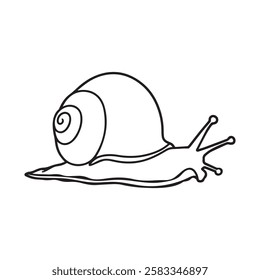 Simple black and white line drawing of a snail.