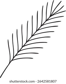 Simple Black and White Line Drawing of a Fern Frond or Similar Plant Branch on White Background