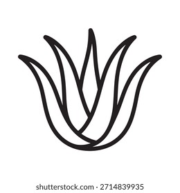 Simple black and white line drawing of an aloe vera plant illustration