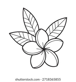 A simple black and white line drawing of a plumeria flower bloom