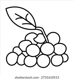 A simple black and white line drawing of a bunch of grapes with a single leaf attached to the stem.