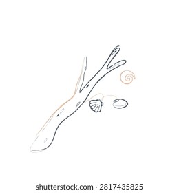 A simple black and white line drawing of a branch of driftwood accompanied by three small sea shells on a plain background