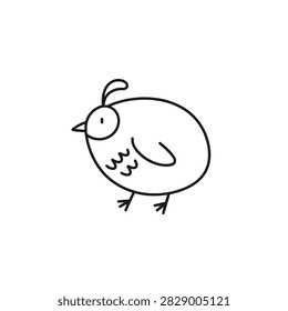 Simple black and white line drawing of a small quail bird with a crest on its head and round body