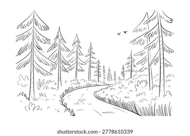 Simple black and white line of a winding forest path surrounded by tall pine trees and wild bushes