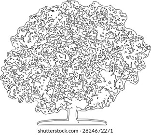 A simple black and white outline of a bushy tree shape on a white background....