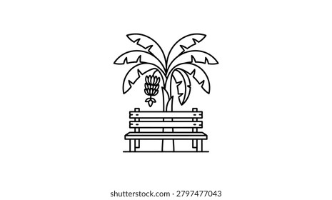 A simple black and white outline drawing featuring a banana tree with a bunch of bananas hanging over a classic wooden park bench