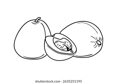 Simples ilustração de contorno preto e branco de fruta de abacate madura com corte seção exibida