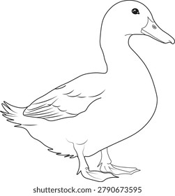 Simple black and white outline illustration of a cute duck standing in side view. Clean line art style suitable for coloring book pages, children’s educational materials, animal-themed designs, farm concept illustrations, and printable worksheets. Minimal and clear drawing isolated on white background.