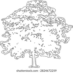 A simple black and white outline of a tree with a rounded canopy and a sturdy trunk.